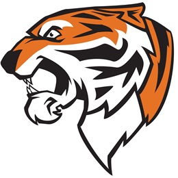 Tiger Head Temporary Tattoo