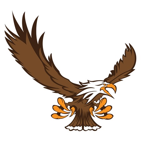 Eagle Temporary Tattoos | Anderson's