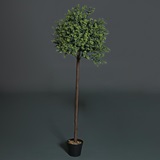 Props and Kits - Trees and Bushes | Anderson's
