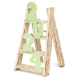 Ladder Decoration Prop With Year Kit