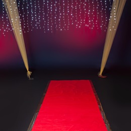 Pathway to Fame Red Carpet and Hanging Lights Kit