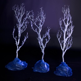Crystal Coral Branches Kit (set of 3)