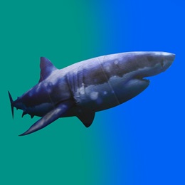 Silent Sentry Swimming Shark Kit