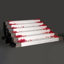 Roses Lead the Way Staircase Kit