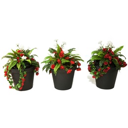 French Rose Planters (set of 3)